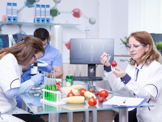 Treatment study on genetically engineered strawberries in laboratory by group of scientist. Test tubes with green solutions.